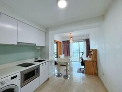 Eight Riversuites (D12), Condominium #584536541